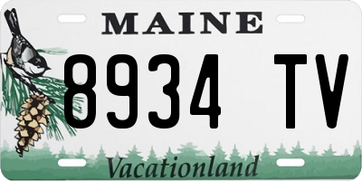 ME license plate 8934TV