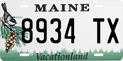 ME license plate 8934TX