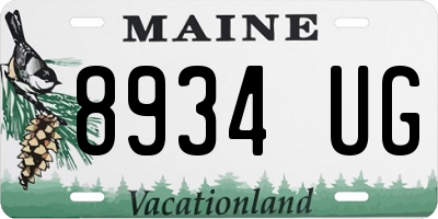 ME license plate 8934UG