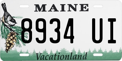 ME license plate 8934UI