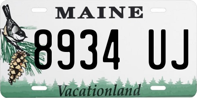ME license plate 8934UJ
