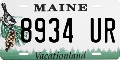 ME license plate 8934UR