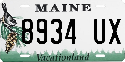ME license plate 8934UX