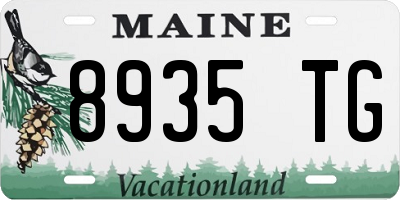 ME license plate 8935TG