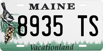 ME license plate 8935TS
