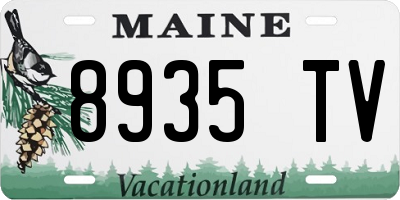 ME license plate 8935TV