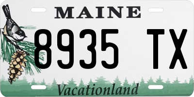 ME license plate 8935TX