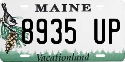 ME license plate 8935UP