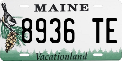 ME license plate 8936TE