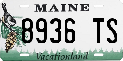 ME license plate 8936TS