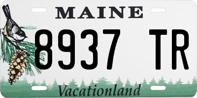 ME license plate 8937TR