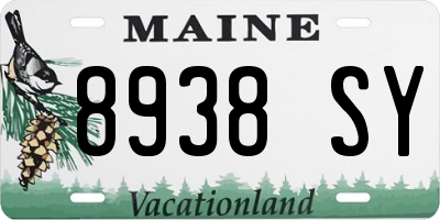 ME license plate 8938SY