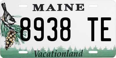 ME license plate 8938TE