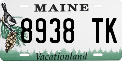 ME license plate 8938TK