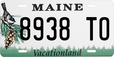 ME license plate 8938TO