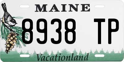ME license plate 8938TP