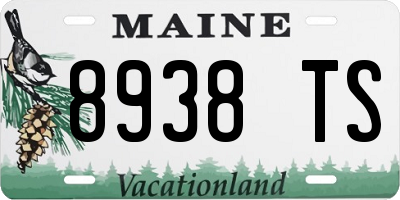 ME license plate 8938TS