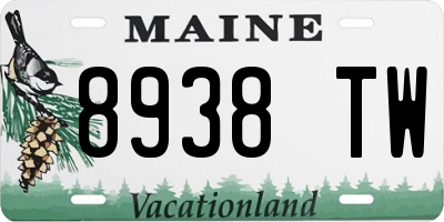 ME license plate 8938TW