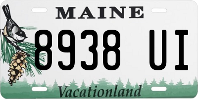 ME license plate 8938UI