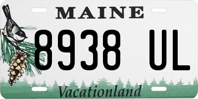 ME license plate 8938UL