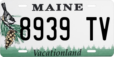 ME license plate 8939TV