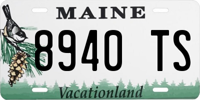 ME license plate 8940TS