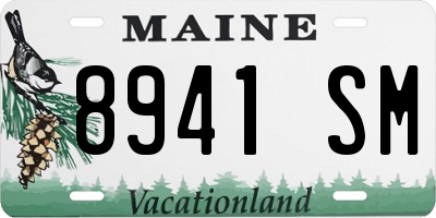 ME license plate 8941SM