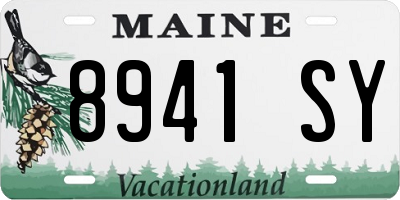 ME license plate 8941SY
