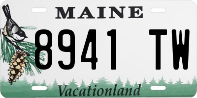 ME license plate 8941TW