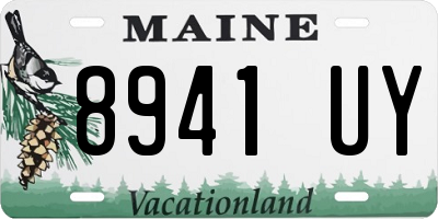 ME license plate 8941UY