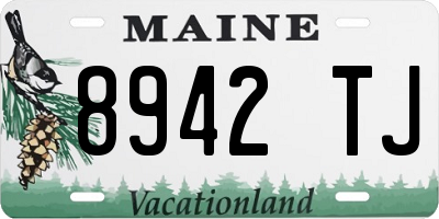 ME license plate 8942TJ