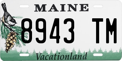 ME license plate 8943TM