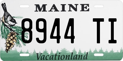 ME license plate 8944TI