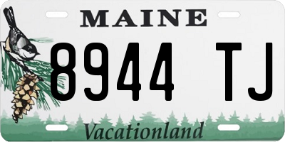 ME license plate 8944TJ