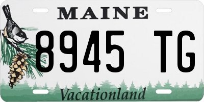 ME license plate 8945TG