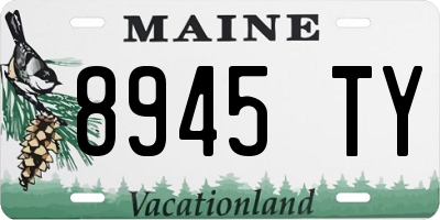 ME license plate 8945TY
