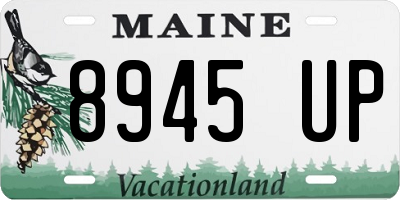 ME license plate 8945UP