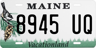 ME license plate 8945UQ
