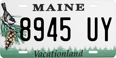 ME license plate 8945UY