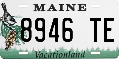 ME license plate 8946TE