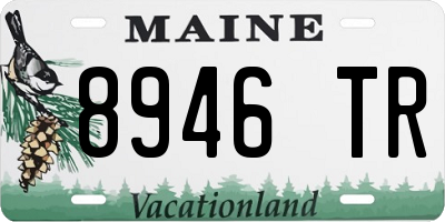ME license plate 8946TR