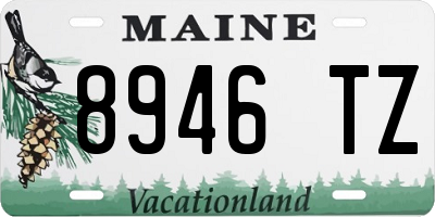 ME license plate 8946TZ