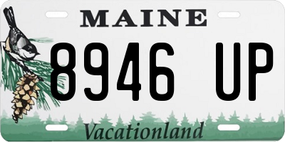 ME license plate 8946UP