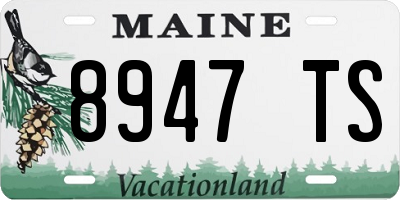 ME license plate 8947TS