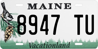 ME license plate 8947TU