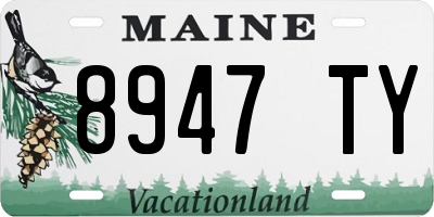 ME license plate 8947TY