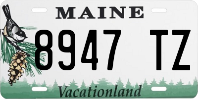 ME license plate 8947TZ