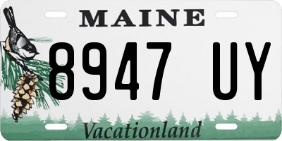 ME license plate 8947UY