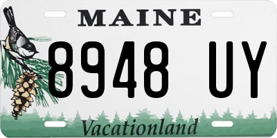 ME license plate 8948UY