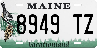 ME license plate 8949TZ